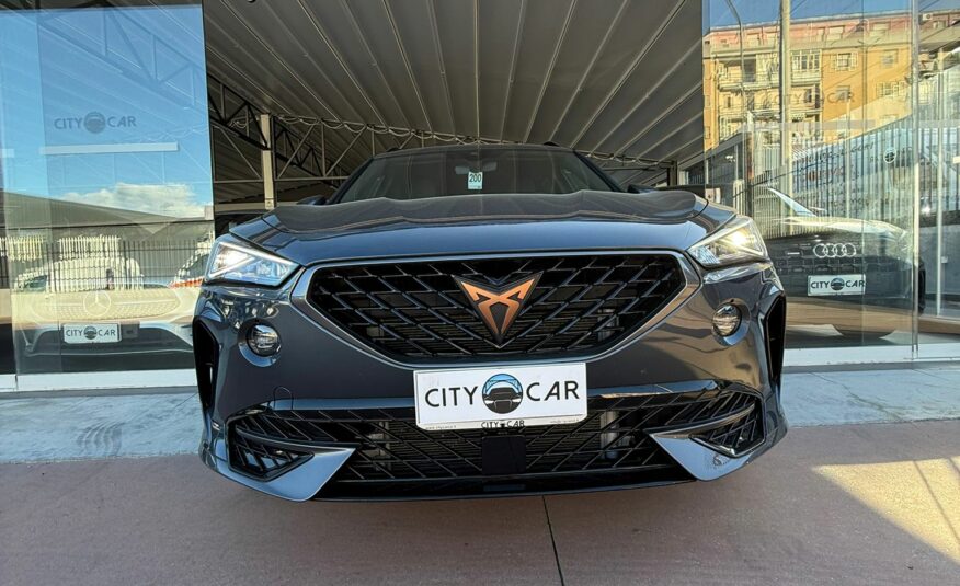 CUPRA FORMENTOR 2.0 TDI DSG 150 CV